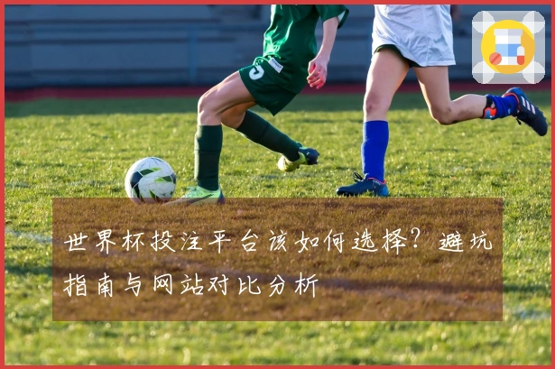 世界杯投注平台该如何选择？避坑指南与网站对比分析