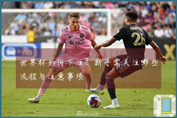 世界杯如何下注?新手需关注哪些流程与注意事项