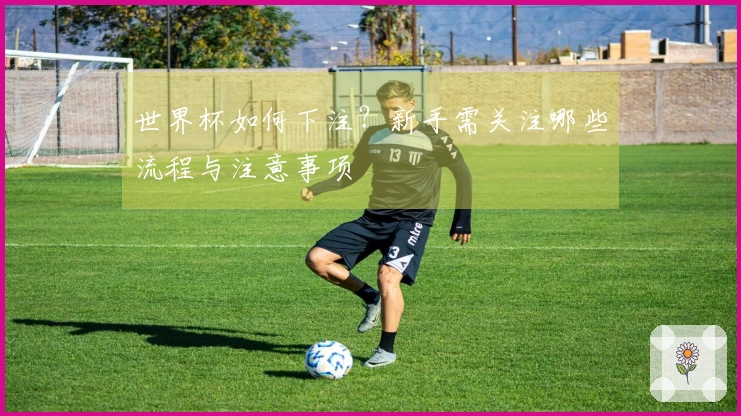 世界杯如何下注？新手需关注哪些流程与注意事项